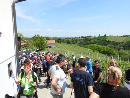15. tradicionalni pohod Pomlad v prleških goricah 2019 23
